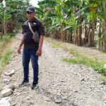 Di Duga Sarat KORUPSI Pembangunan Penyertuan Jalan Usaha Tani Dusun VIII purwosari,Desa Tanjung Ibus. 