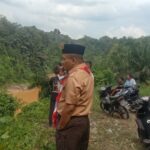 Orang Nomor Satu Di Lingga Bayu Cek Lokasi Munculnya Buaya